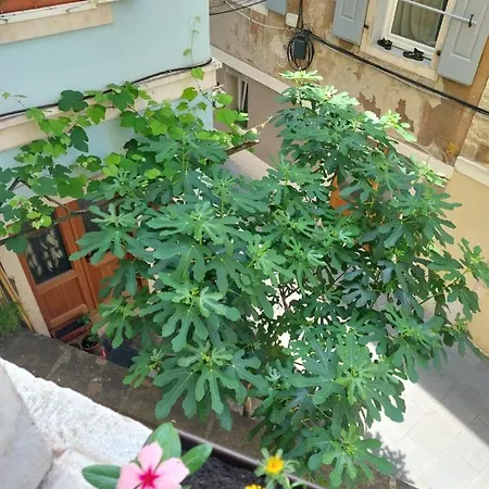 Apartment Cebelica *