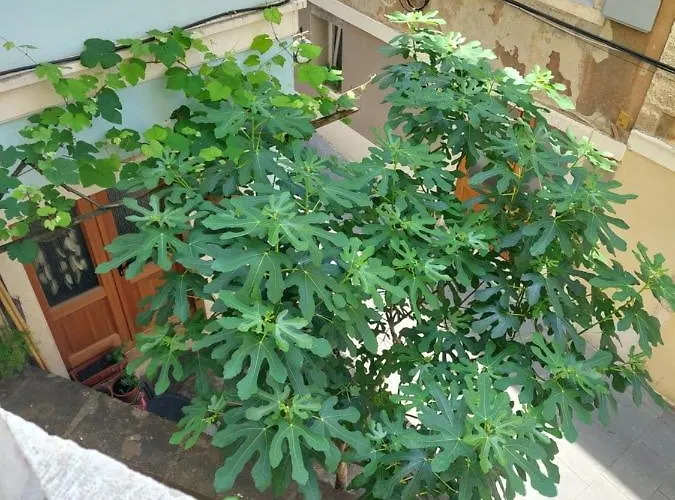 Apartamento Cebelica *