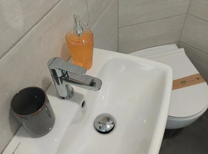 公寓 Cebelica 皮兰